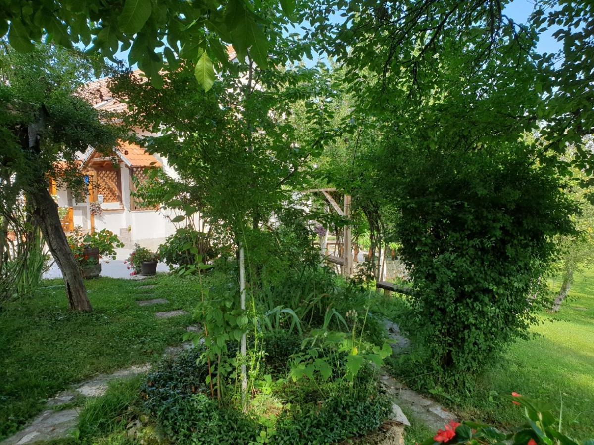 Apartment Liso Selište Drežničko Exterior foto