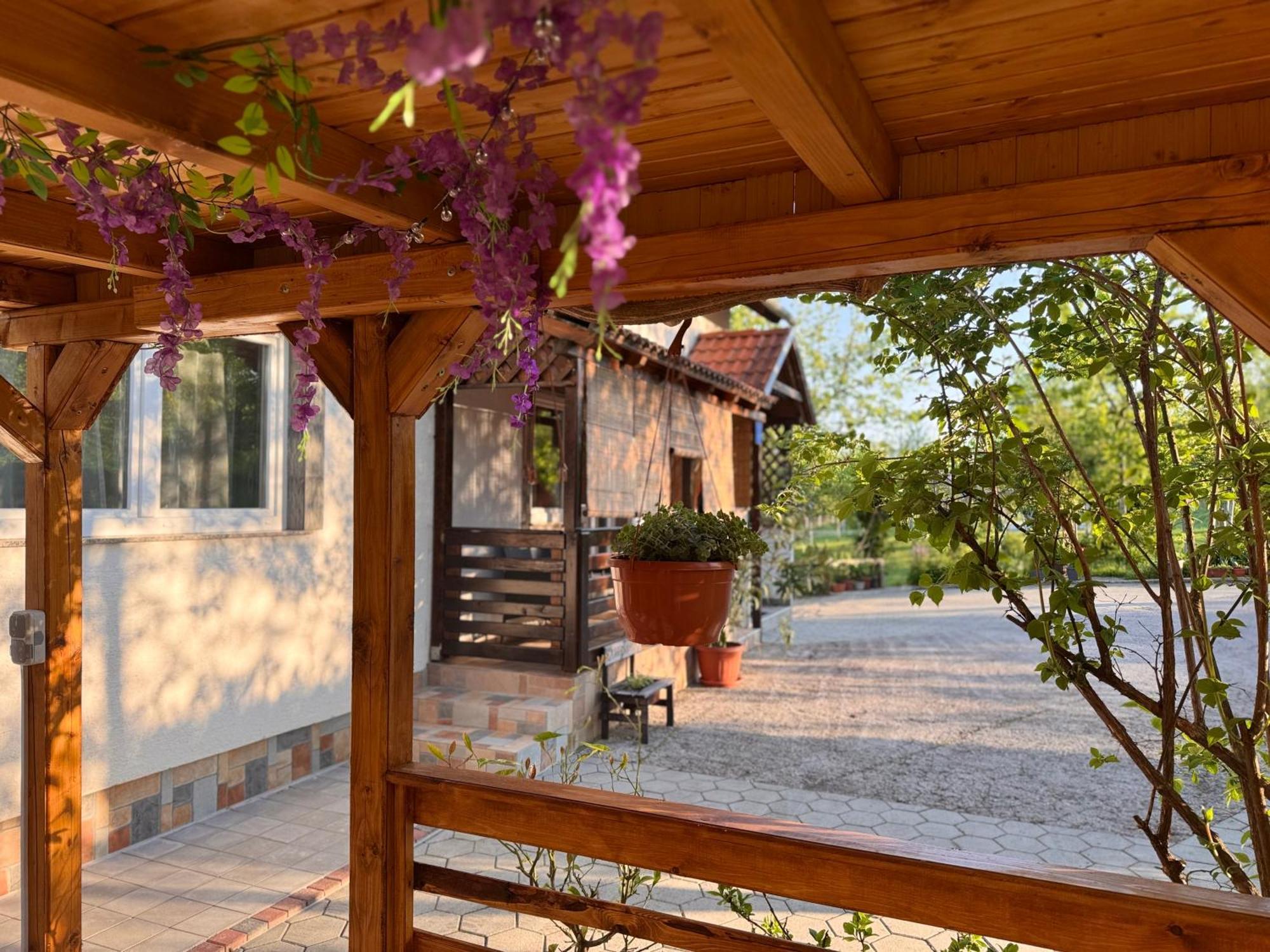 Apartment Liso Selište Drežničko Exterior foto